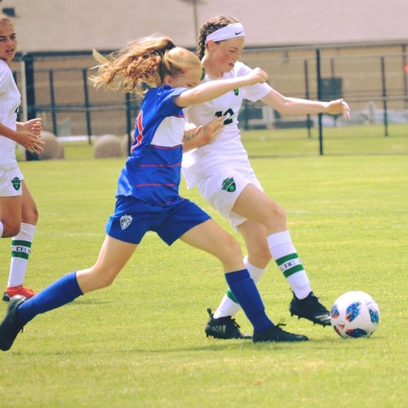 Meet your Posher, Helen - Picture 1 of 1